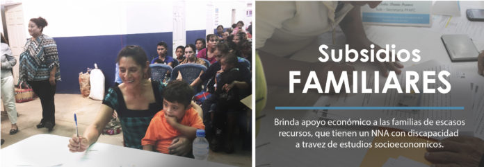 Subsidios Familiares | Secretaría De Bienestar Social