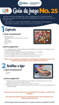 Guías de Juego CAI