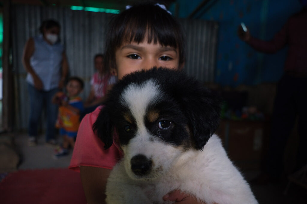 Visita Familia de Acogimiento Familiar - zona 25 - Lupita y Angelito - 10