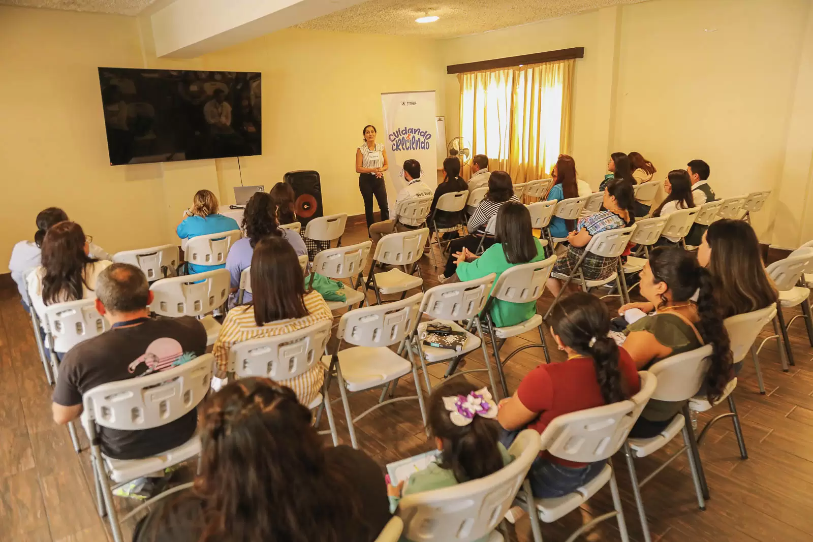 SBS - Preservación - Mesa Interinstitucional tema país - Adolescentes - 30