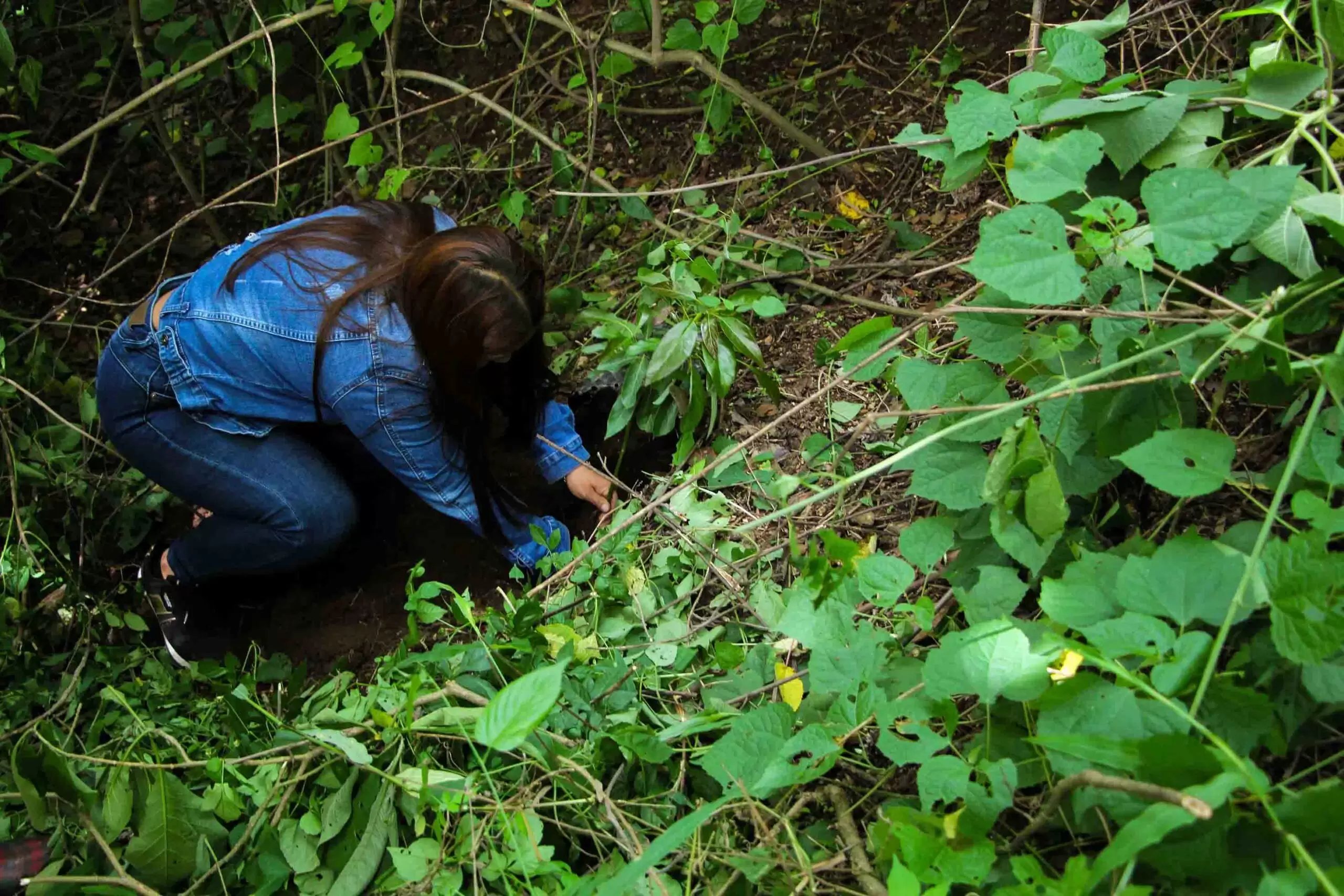 ACTIVIDAD DE REFORESTACIÓN GRADUANDOS CEEX (10)