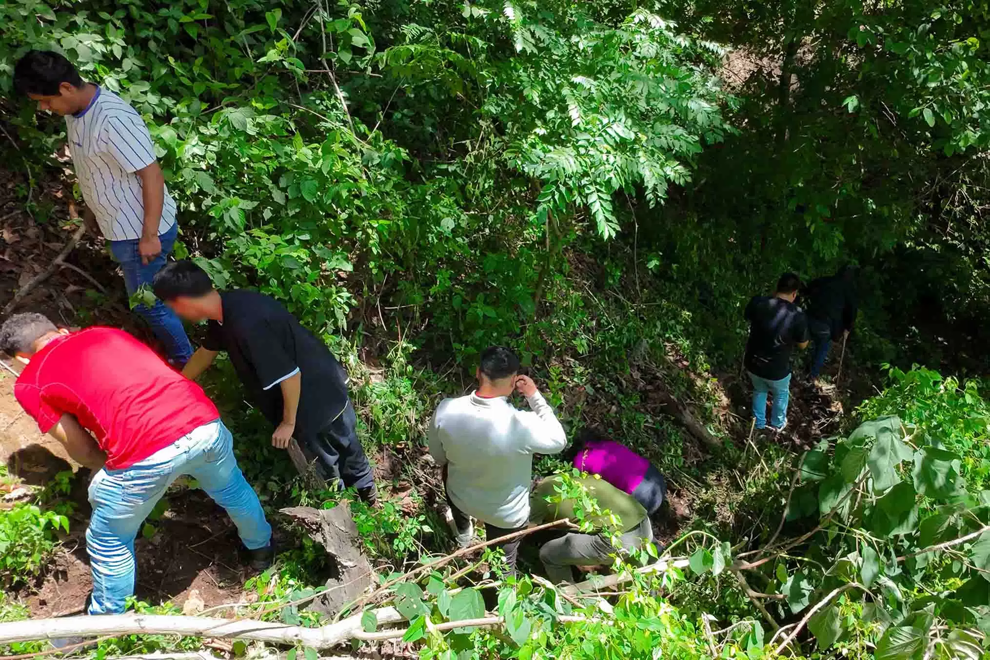 ACTIVIDAD DE REFORESTACIÓN GRADUANDOS CEEX (3)