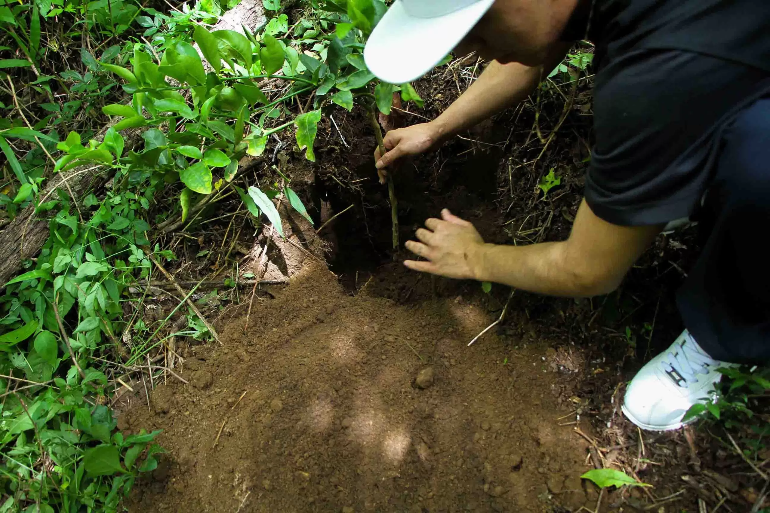ACTIVIDAD DE REFORESTACIÓN GRADUANDOS CEEX (8)