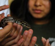 Residentes de Tejiendo Sueños conocen sobre el cuidado de la flora y fauna de Guatemala