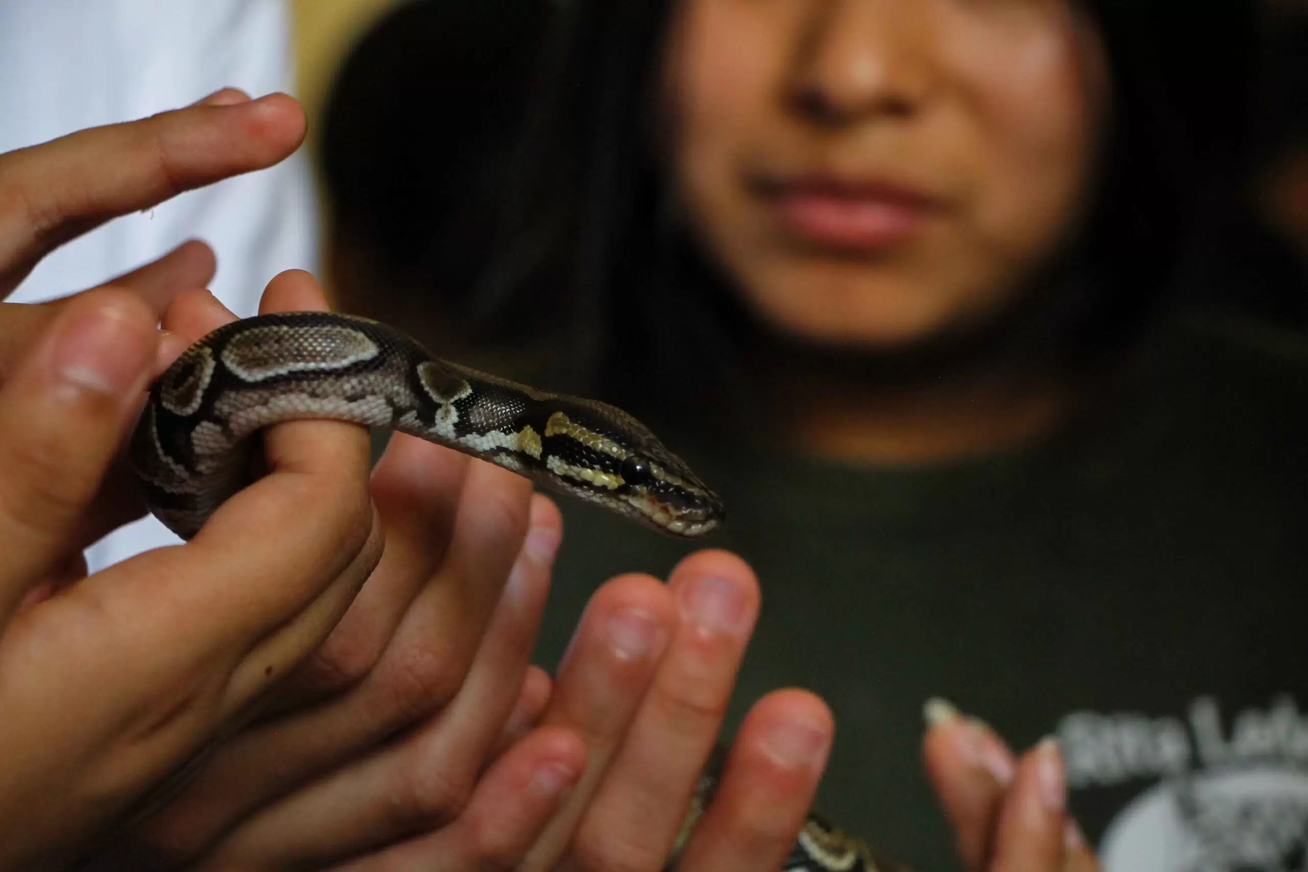 Residentes de Tejiendo Sueños conocen sobre el cuidado de la flora y fauna de Guatemala