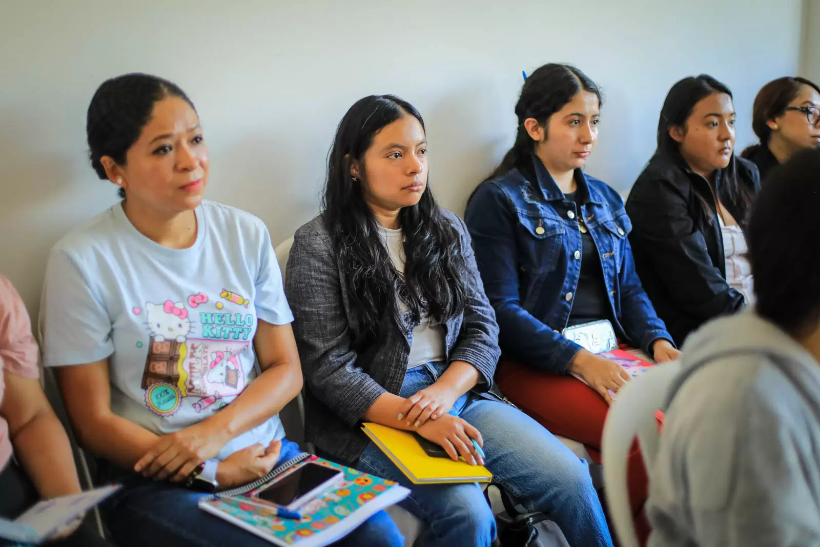 1 Niñeras - Diplomado (2) 1 Niñeras - Diplomado (2)