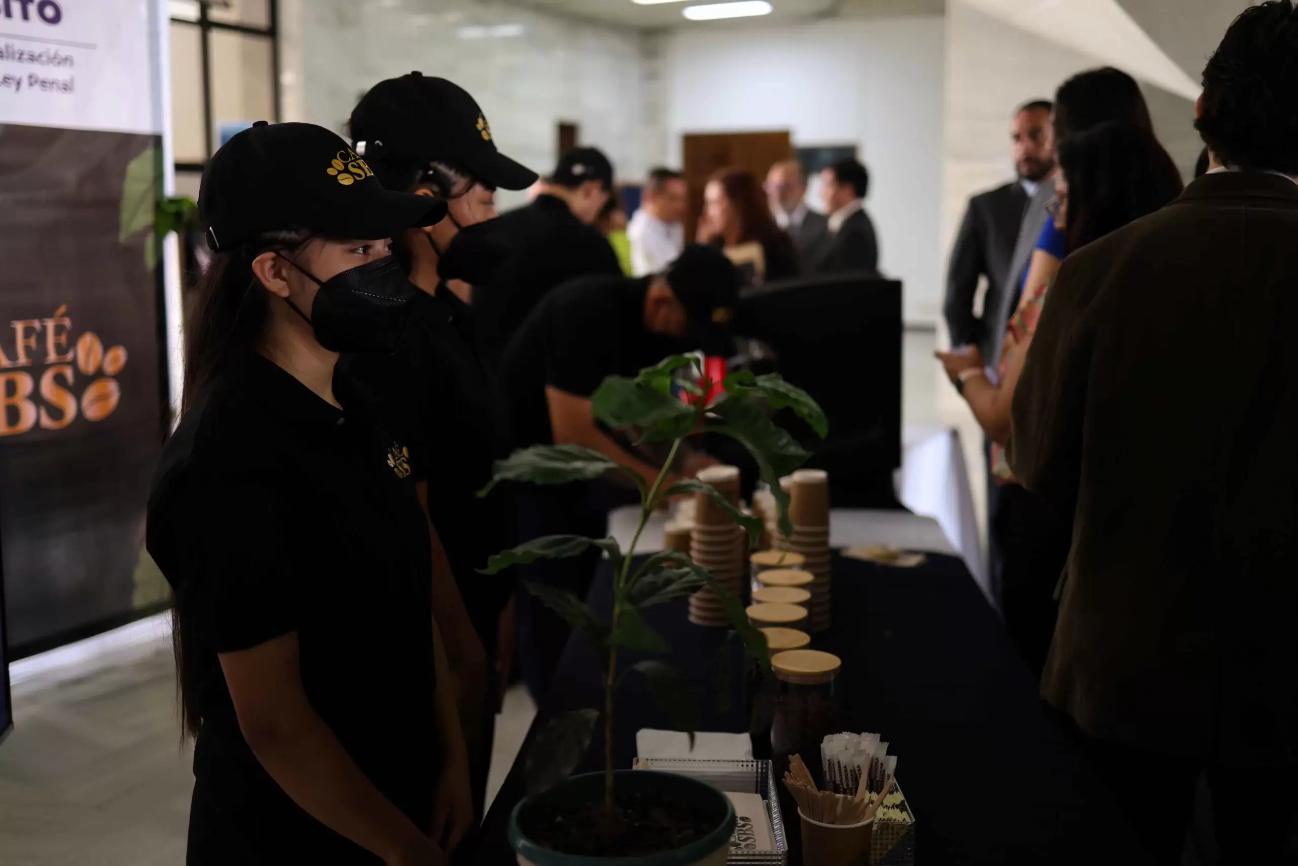 PRESENTACION-PROYECTO-DE-CAFE-ORGANISMO-JUDICIAL-2.webp