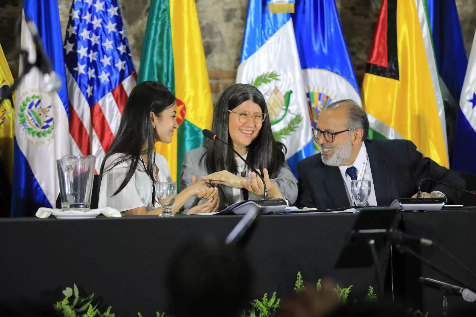 Destacan diálogo intergeneracional en cierre de la 100.ª Reunión del IIN-OEA