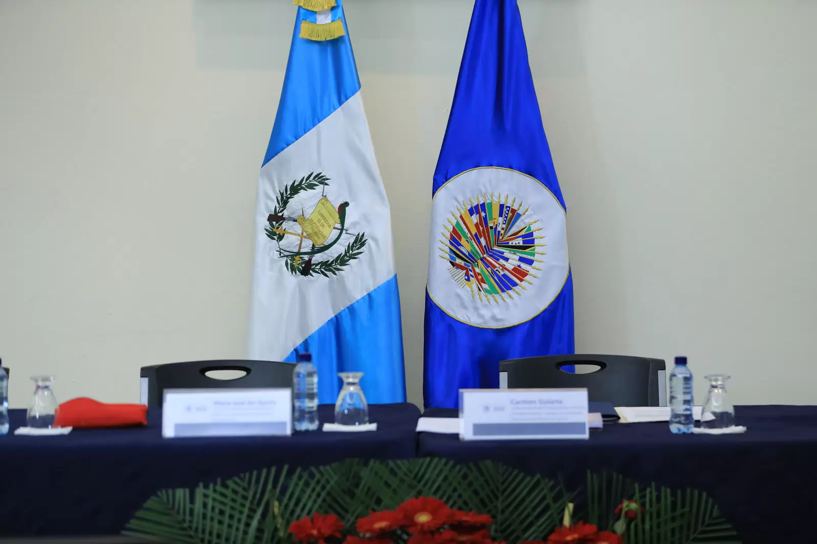 Presentación de IIN - OEA a Embajadores MINEX No.1