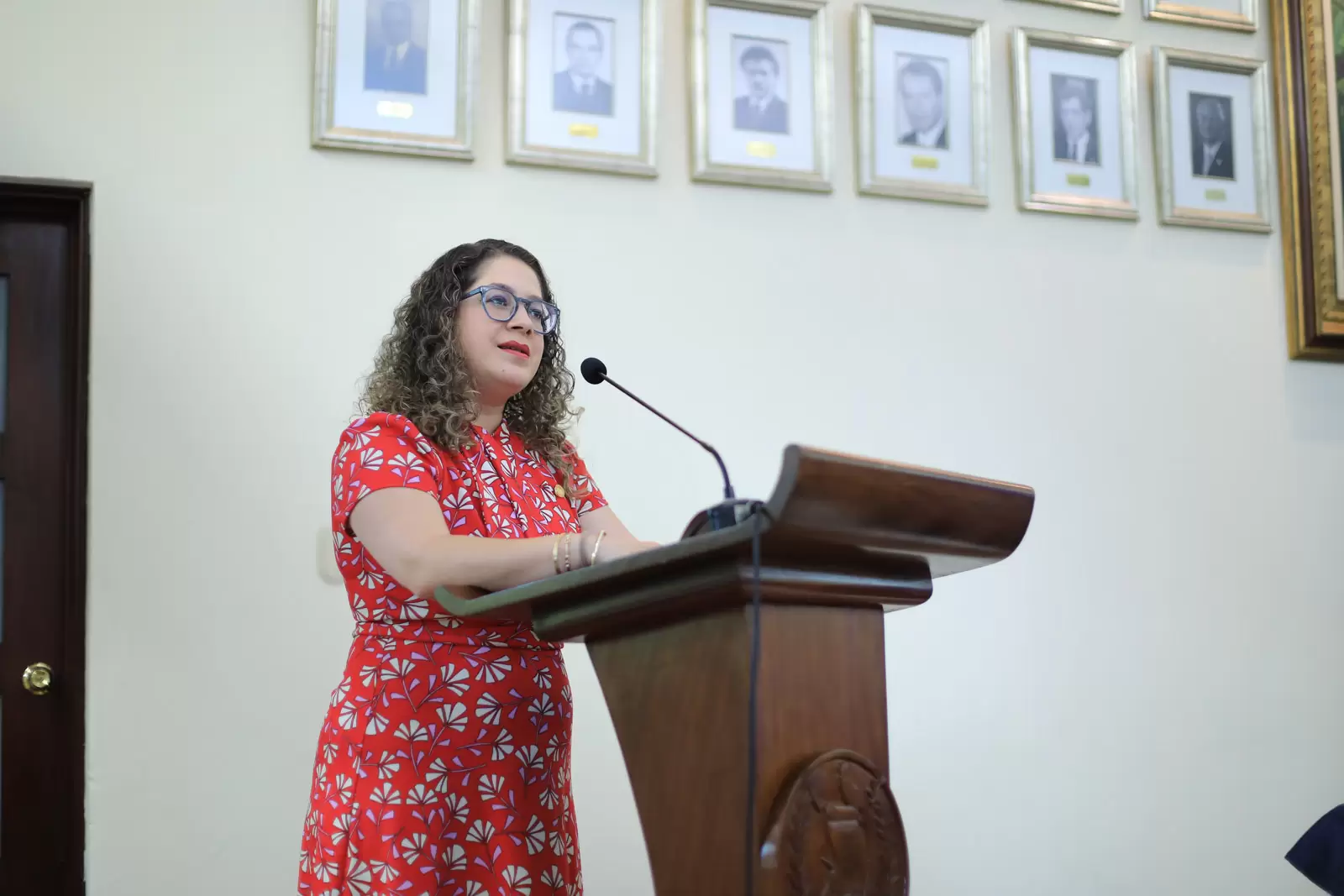 Presentación de IIN - OEA a Embajadores MINEX No.6